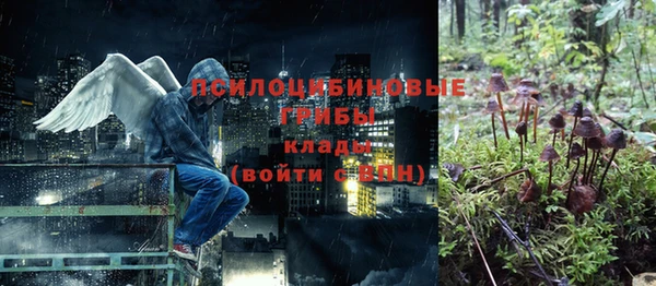 мяу мяу мука Ачинск