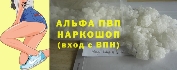 мяу мяу мука Ачинск