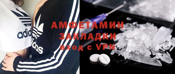 гидра Долгопрудный
