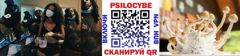 Псилоцибиновые грибы Psilocybe  mega   Горбатов  где купить  